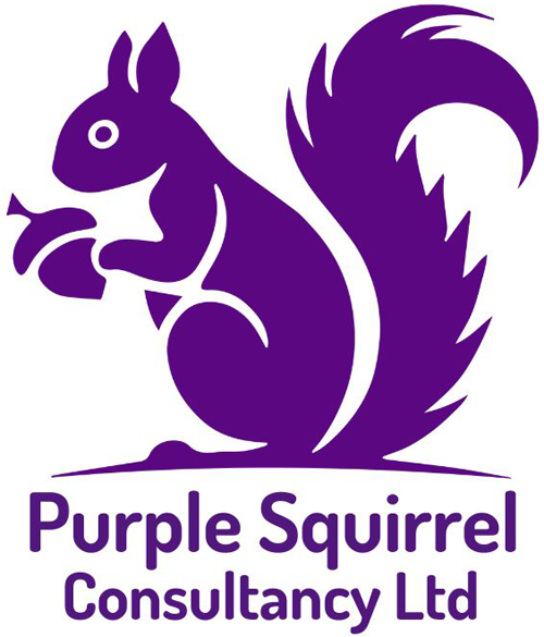 Purple Squirrel - business coaching mentoring Derby logo