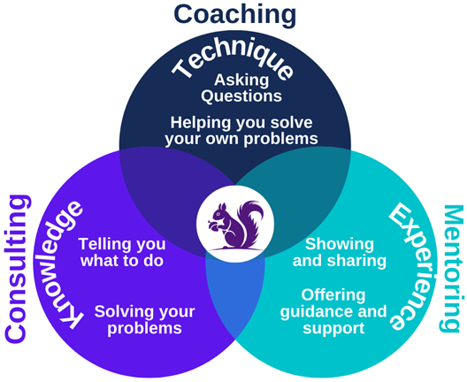 mentor coach consultant Derby mentor coach consultant Derby